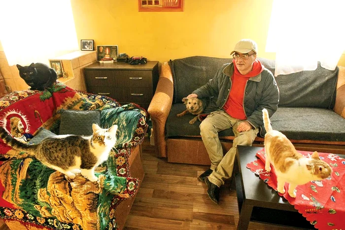 
    Motanul Chinezu’ şi  căţeluşa Princess  sunt cei mai buni  prieteni ai lui  Gabriel HonceriuFoto: Roberto Sălceanu  