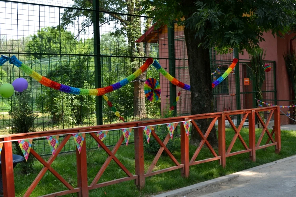 Evenimentul are loc duminică FOTO Arhivă