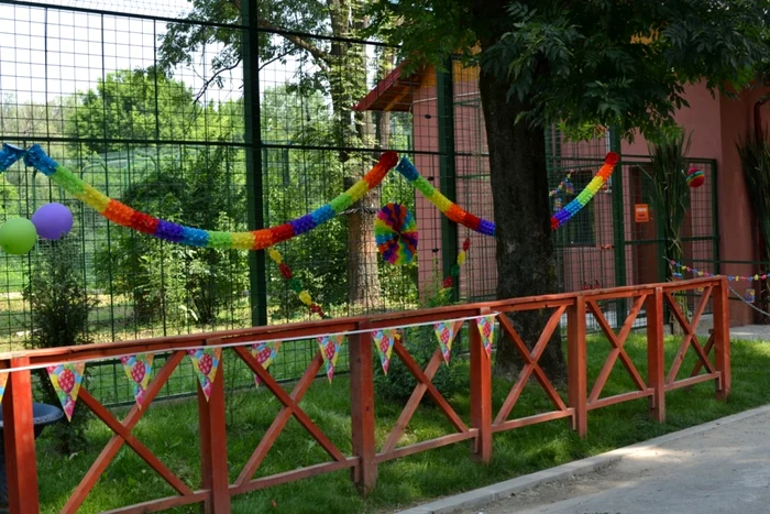 Cişca celor doi tigri a fost decorată cu ghirlande colorate. FOTO Adevărul Ploieşti