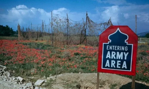 Fotoreportaj: Campania din Italia, 1944 jpeg