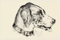 Picture1 png