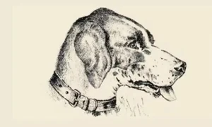 Picture1 png