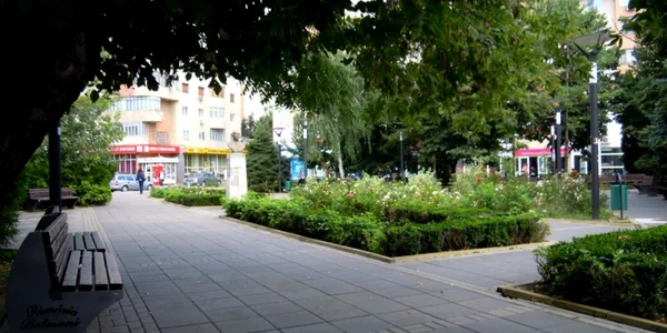 parc botosani