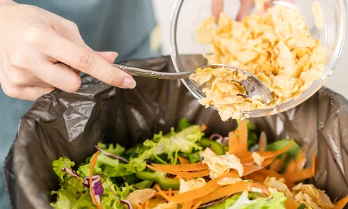 mancare expirata jpg