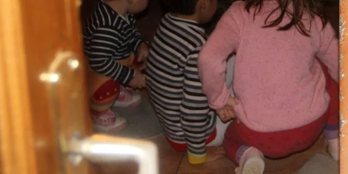 brazi pentru familii nevoiase