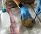Un cap al lui Eros, descoperit la Pompeiopolis 