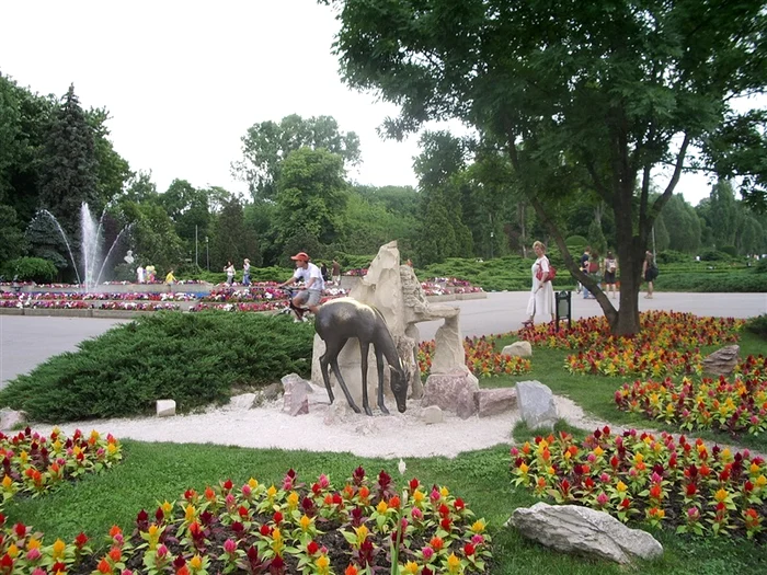 Amenda uriașă primită de un restaurant din Herăstrău. 