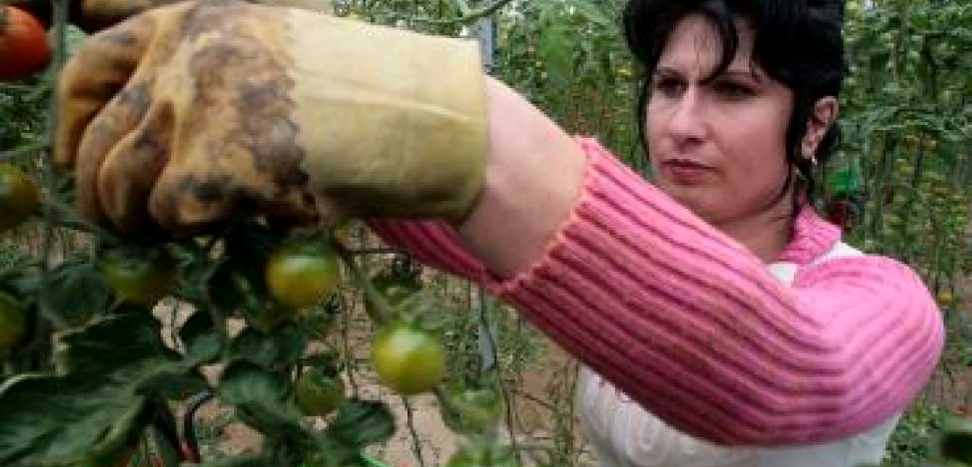 Muncitorii trebuie să aibă experienţă în munca manuală