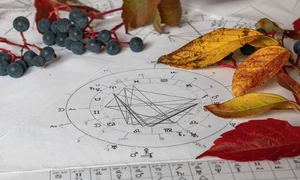 shutterstock 2057268326 jpeg