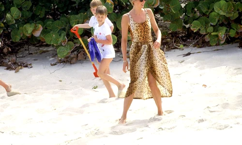 6 profimedia 0220514731 jpg jpeg