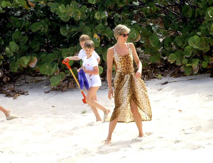 6 profimedia 0220514731 jpg jpeg