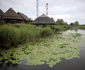 Festivalul de film Anonimul în imagini FOTO Florin Ghioca