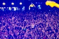 Untold 2024 jpeg