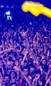Untold 2024 jpeg