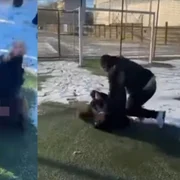 Screenshot 2026 01 23 152047 jpg