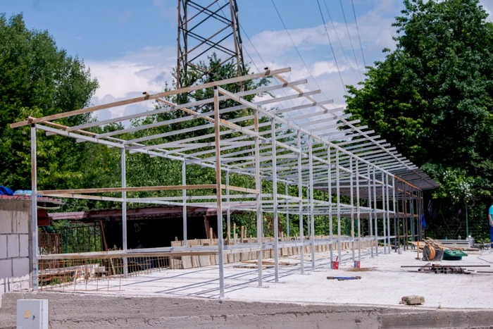 Cum le găseşte Adăpostul din Mioveni  stăpâni căţeilor abandonaţi: 