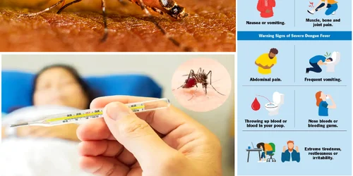 Febra Dengue o boală extrem de periculoasă apărută și în România Foto Colaj DMS