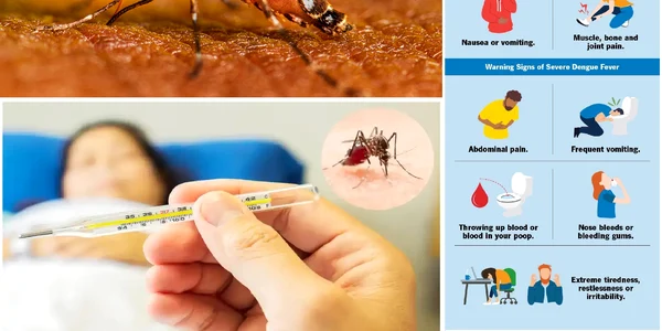 Febra Dengue o boală extrem de periculoasă apărută și în România Foto Colaj DMS