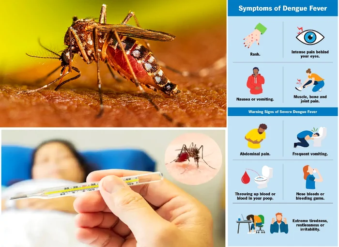 Febra Dengue o boală extrem de periculoasă apărută și în România Foto Colaj DMS