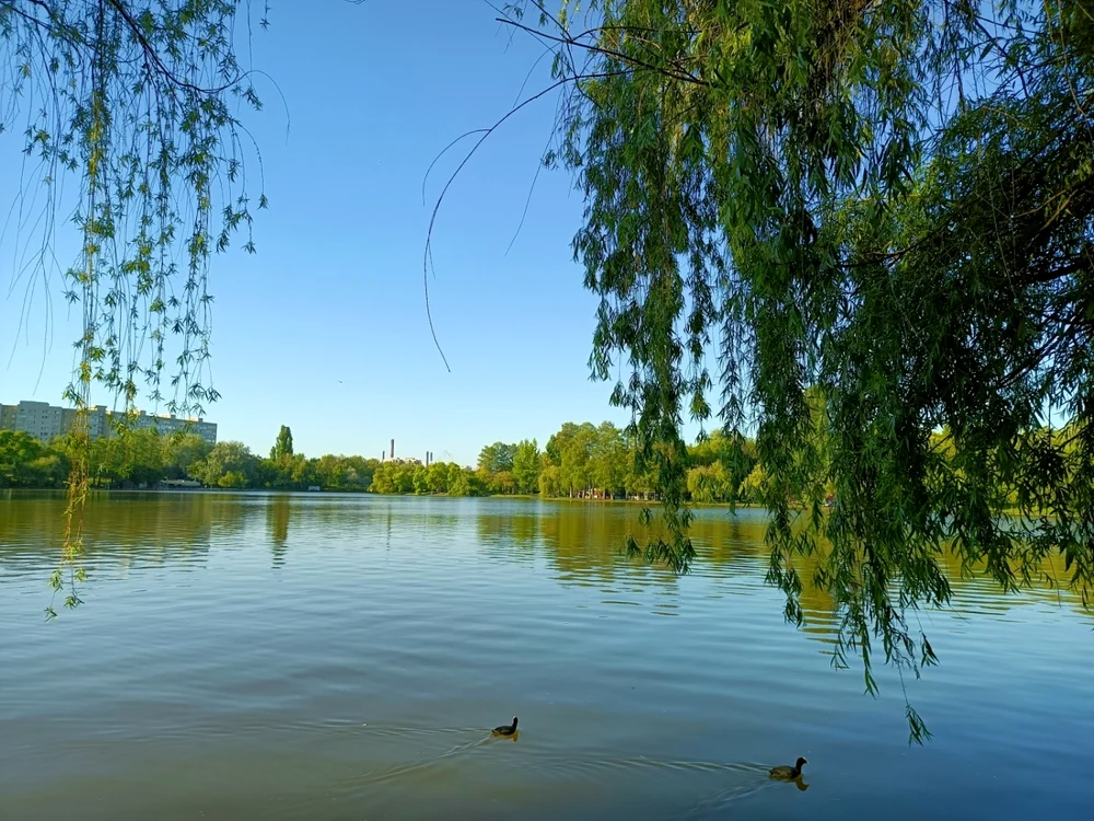 Poza cu Realme 8 5G lacul Titan IOR