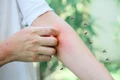 shutterstock 2480016911 jpg