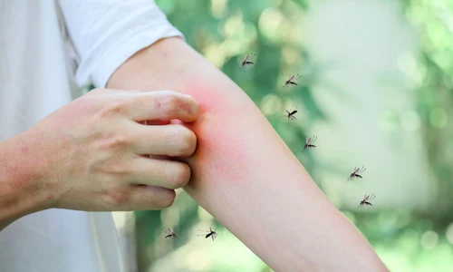 shutterstock 2480016911 jpg