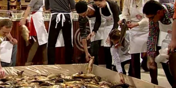 pestele de la masterchef