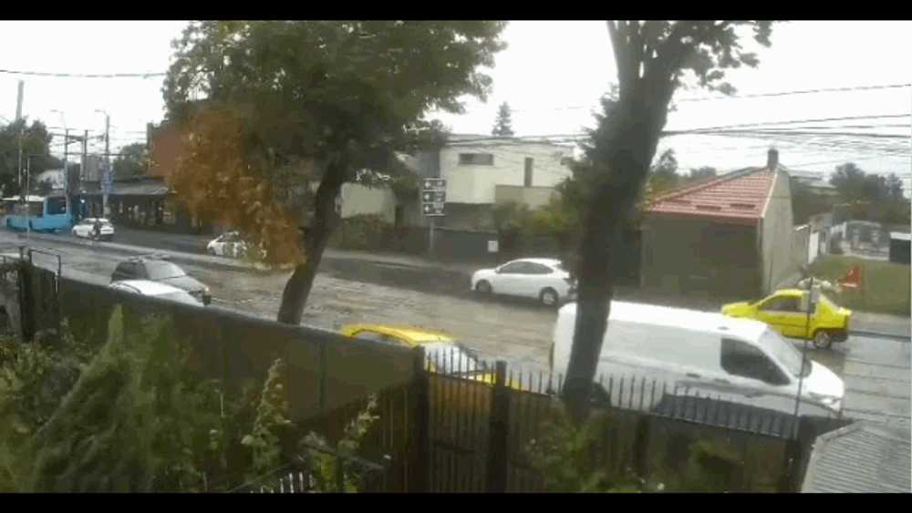 Un copac a căzut peste o mașină în mers, în Capitală. Momentul, surprins de camerele de supraveghere