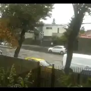 copac gif gif