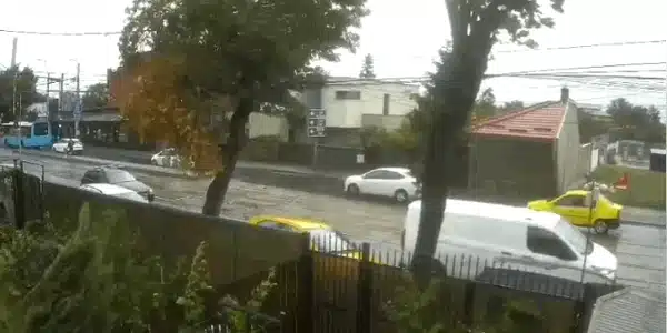 copac gif gif