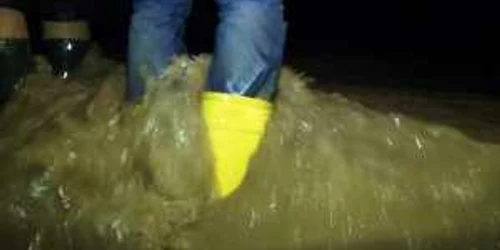 darmanesti inundatii