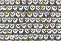 SpotPolarBearHiddenAmongPandasOpticalIllusionIQTest jpg
