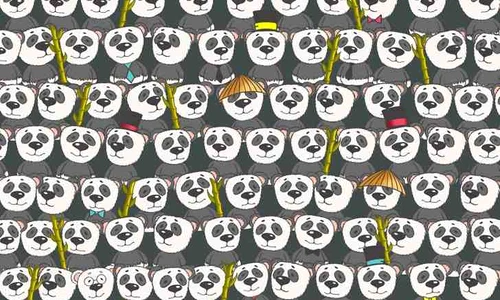 SpotPolarBearHiddenAmongPandasOpticalIllusionIQTest jpg
