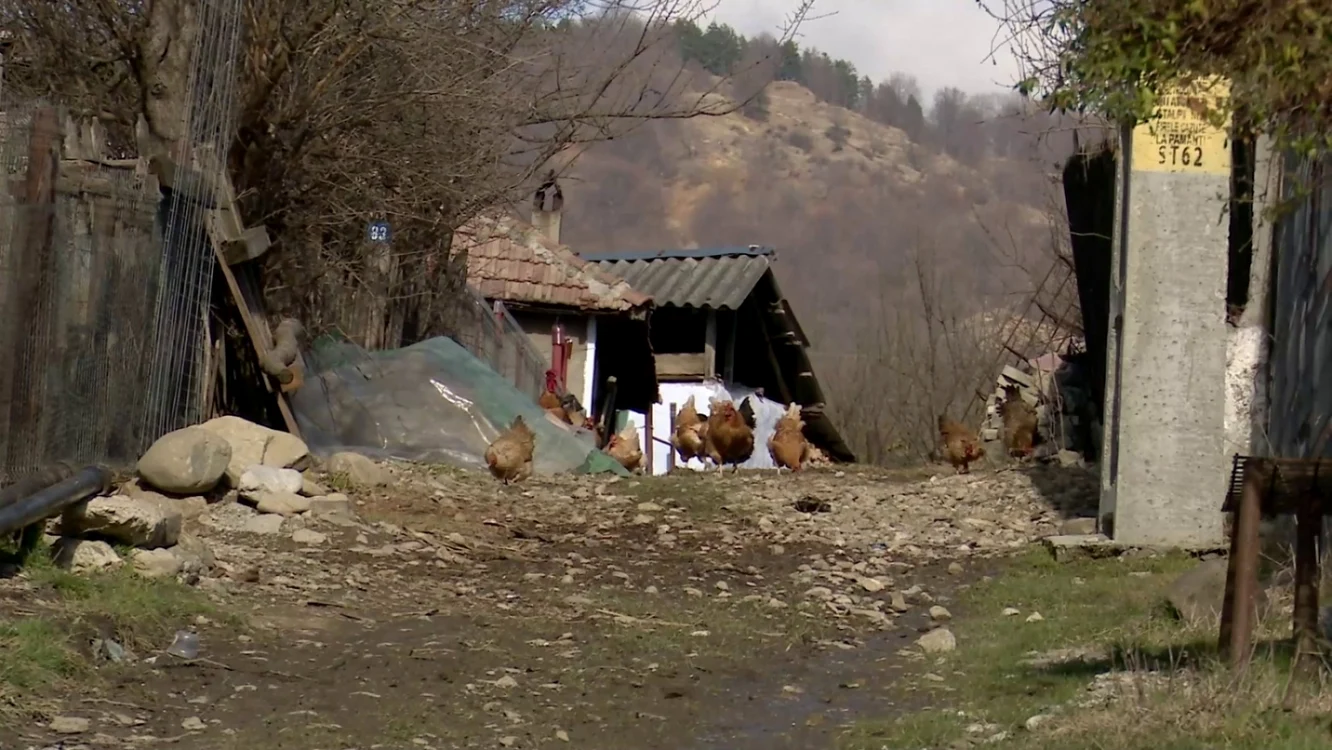 Sursa I. Bunilă