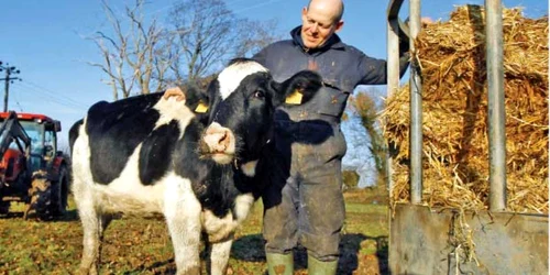 Fermierii irlandezi de bucură de tot mai mult sprijin din partea bancherilor
