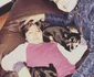 gabriela spanic 8 png