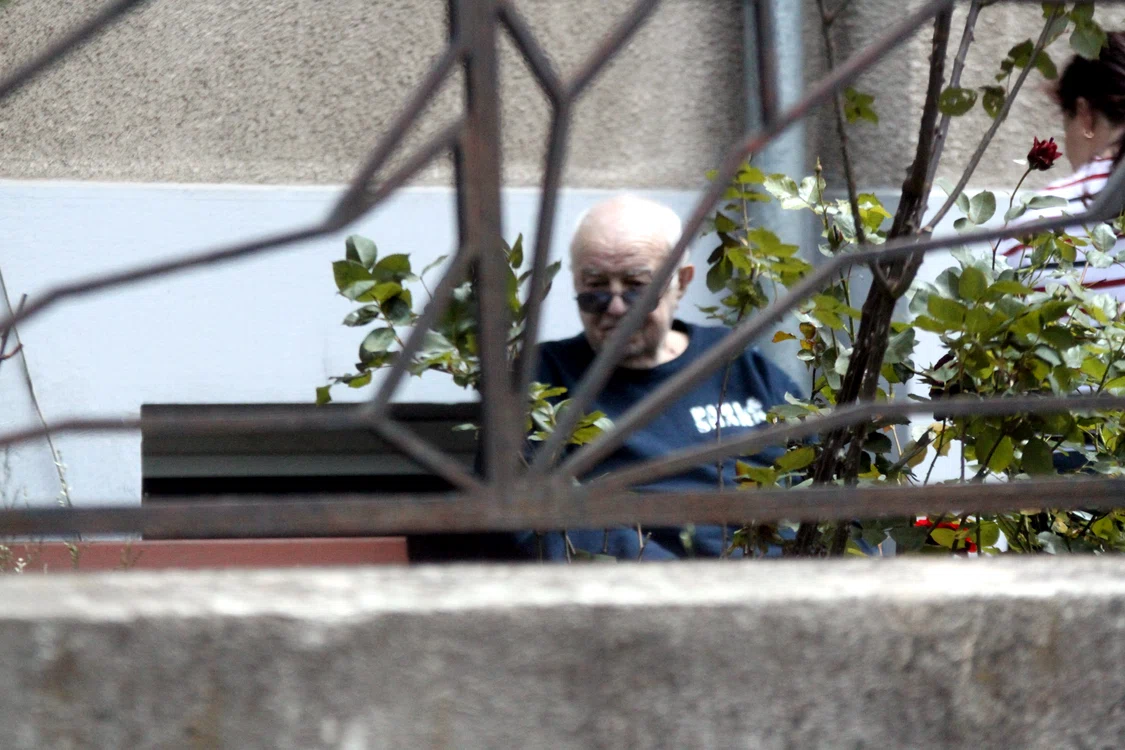 Alexandru Arșinel, cu musafirii, în curtea caseifoto: BLITZ / CLICK!
