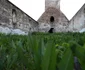 Biserica din Vurpăr, Alba  Foto Daniel Guță, ADEVĂRUL (1) JPG