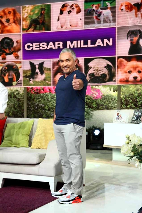 cesar millan la teo show jpeg