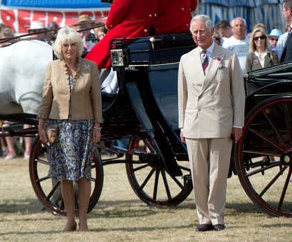 charles2 profimedia jpg