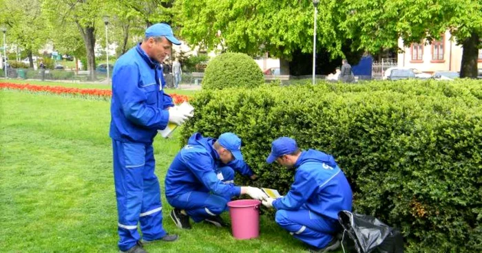 Substantele folosite nu sunt periculoase pentru oameni. FOTOAdevarull.