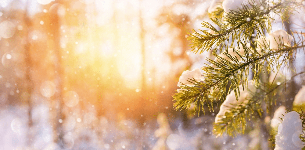 Prognoza meteo 22 decembrie: vreme neobișnuită înainte de Crăciun. În ce regiuni lovesc ninsorile