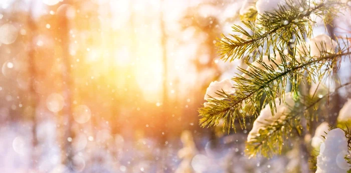 După ninsori, căldura se întoarce FOTO Shutterstock