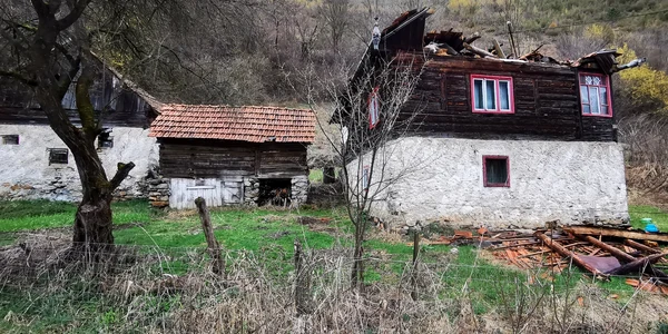 Runcu Mare  Foto Daniel Guță  ADEVĂRUL (32) jpg