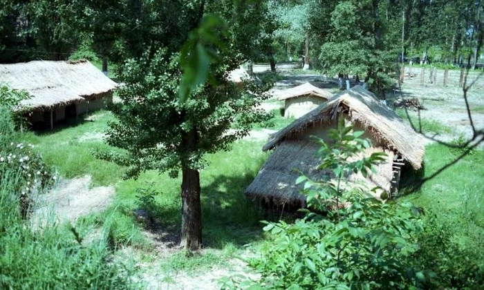 Parcul Arheologic A S A I R, între istorie şi experiment jpeg