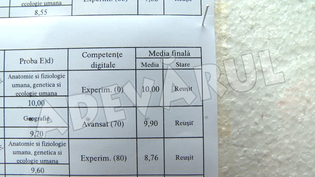 Cele mai bune rezultate le-au obţinut liceele: CN I. Văcărescu (95,77%), CN N. Titulescu Pucioasa (95,09%), CN C. Carabella (94,29%), CN C. Cantacuzino (91,59%)