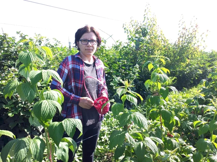 Georgiana Rădulescu spune că la început nu s-a gândit la plantaţia ca la o afacere, a vrut doar să mănânce sănătos FOTO: Facebook/Primăria Crâmpoia