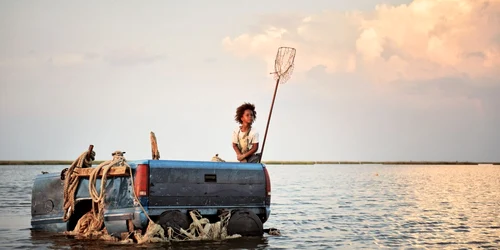 beasts of the southern wild