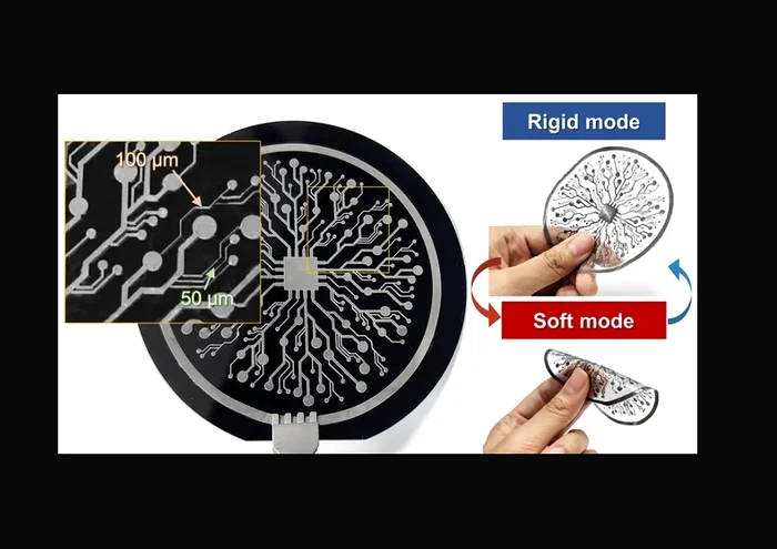Aplicațiile „cernelii electronice” FOTO livescience.com