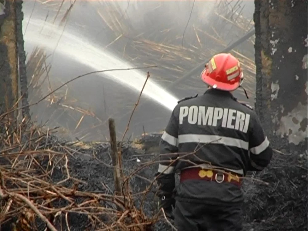 Pompierii au intervenit rapid Foto:Arhiva Adevărul